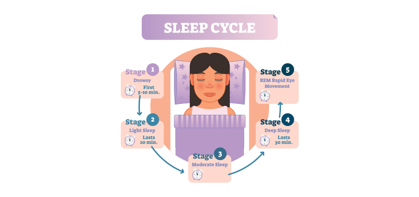 5 Stages of Sleeping Cycle